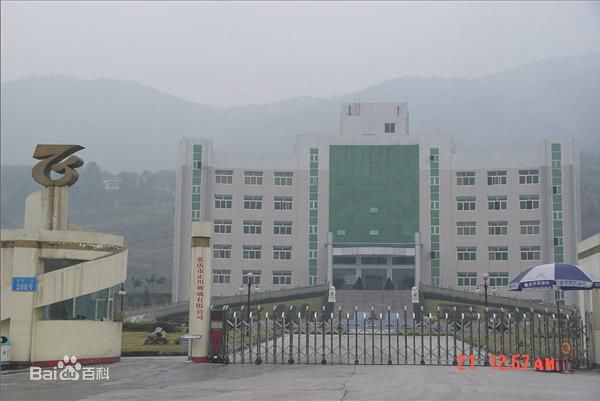 重慶市正川瓶蓋廠(chǎng)使用景泰源LED平板凈化燈